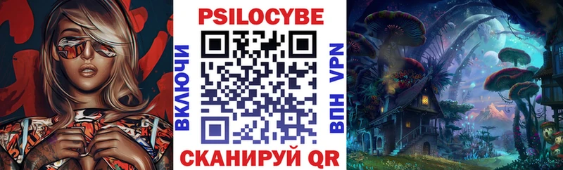 цена   Прокопьевск  Псилоцибиновые грибы Psilocybine cubensis 